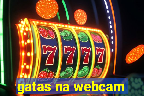 gatas na webcam